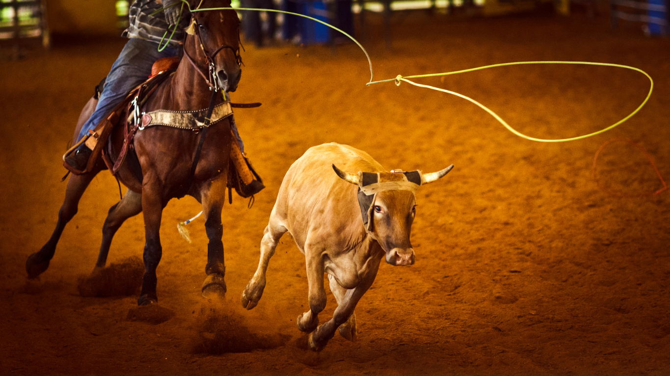 3rd Annual Pro Rodeo – YMCA of Chilton County